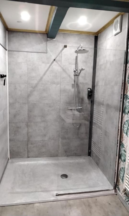 Au Bord De La Moselle Appartement Ramonchamp